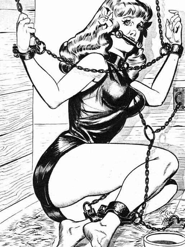 Adult bondage graphic novels