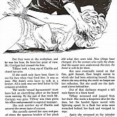 Illustrated story of s&m pang and pleasure.